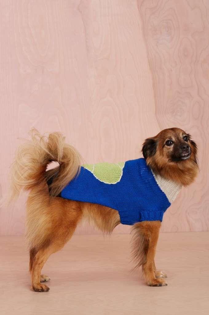 Dusen Dusen Tennis Dog Sweater