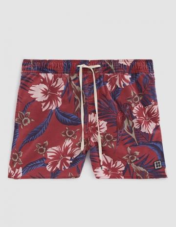 Insight Mutiny Swim Short In Burgundy