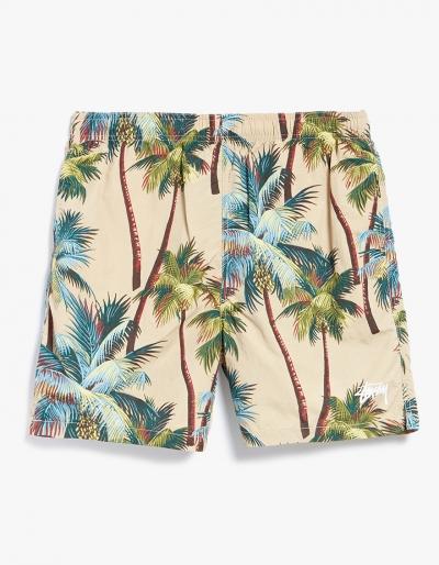St Ssy Palm