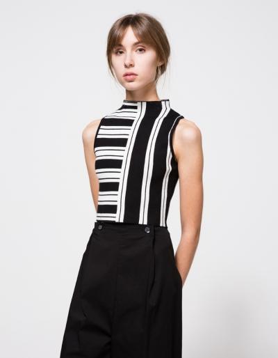 Which We Want Danes Crop Top
