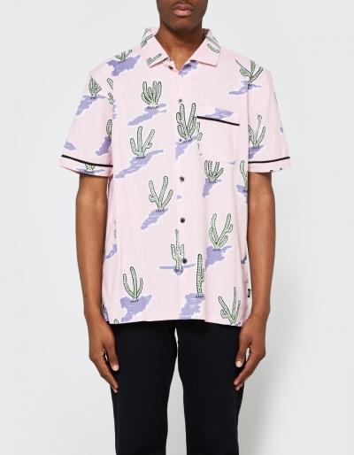 St Ssy Cactus