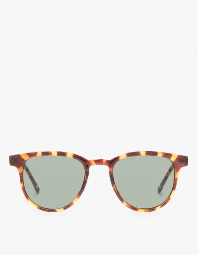 Komono Francis In Tortoise