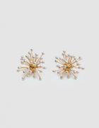 Ellery Moonradish Chandelier Earrings