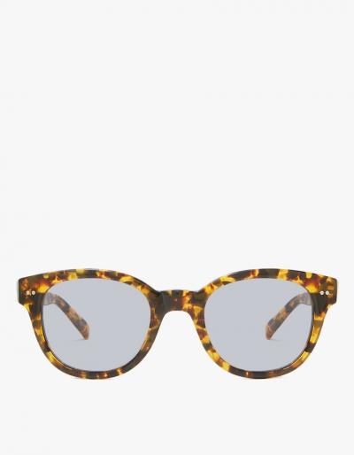 Newman Discovery Sunglasses In Havana