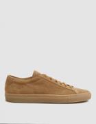 Common Projects Original Achilles Low Suede Sneaker In Amber