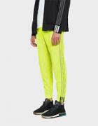Adidas X Alexander Wang Aw Jacquard Jogger In