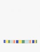 Dream Collective Wild Flag Barrette