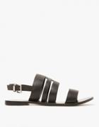Sol Sana Phoenix Sandal In Black