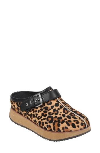 Women's Earth Lyra Buckle Clog M - Brown