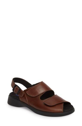 Women's Wolky Nimes Sandal .5-10us / 41eu - Brown