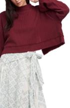 Women's Free People Waking In Hueco Crop Sweater - Burgundy