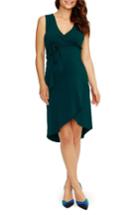 Women's Rosie Pope 'calla' Maternity Dress - Blue