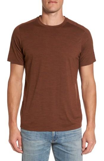 Men's Ibex Odyssey T-shirt - Brown