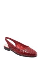Women's Trotters Lucy Slingback Flat .5 N - Red
