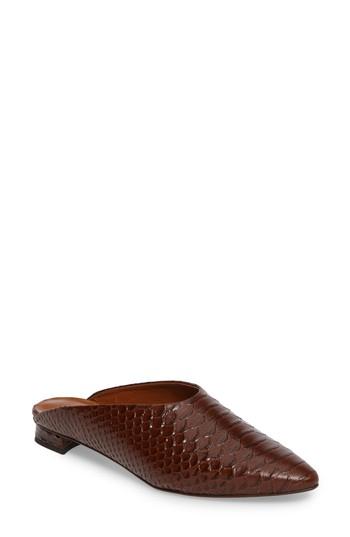 Women's Aquatalia Patrizia Pointed Toe Mule .5 M - Brown