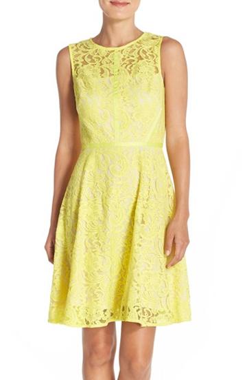 Women's Donna Ricco Lace Fit & Flare Dress