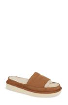 Women's Y/project X Ugg Genuine Shearling Slide Sandal Us / 36eu - Brown
