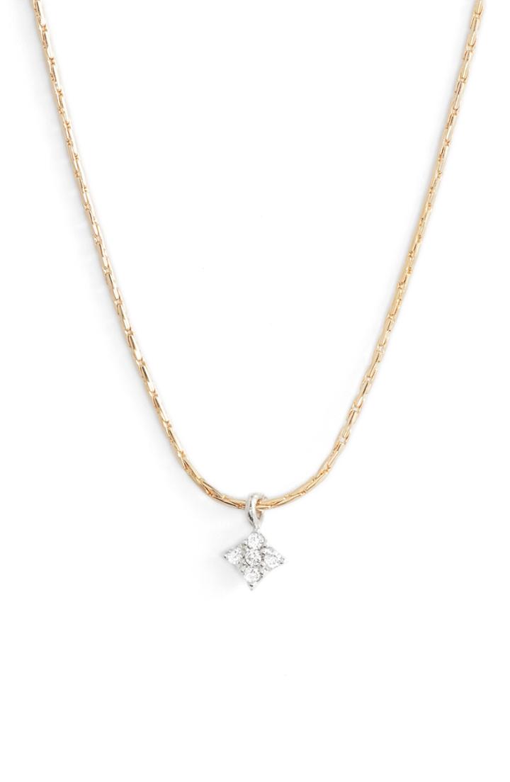 Women's Marida Ursa Choker Necklace