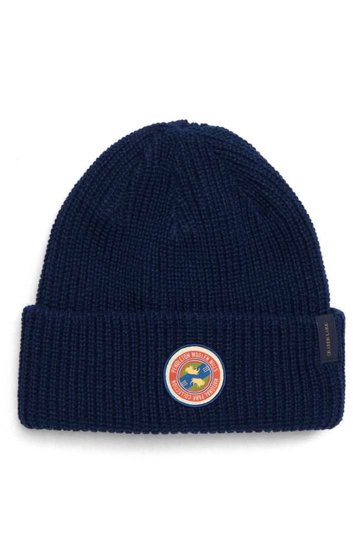 Men's Pendleton National Park Stripe Reversible Beanie - Blue