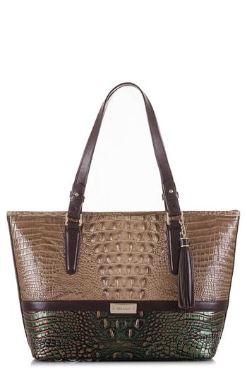 Brahmin Medium Asher Leather Tote - Brown