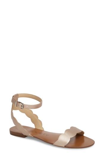 Women's Sole Society 'odette' Scalloped Ankle Strap Flat Sandal .5 M - Pink