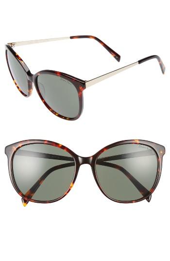 Women's Draper James 56mm Gradient Lens Sunglasses - Tortoise