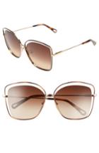 Women's Chloe 60mm Halo Frame Sunglasses - Havana/ Brown