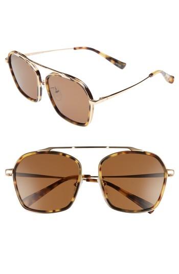 Women's Blanc & Eclare Vancouver 58mm Polarized Aviator Sunglasses - Tortoise/ Gold/ Solid Brown