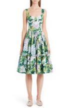 Women's Dolce & Gabbana Hydrangea Print Fit & Flare Dress Us / 46 It - Green