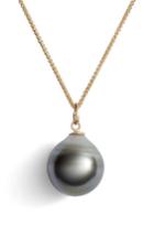 Women's Poppy Finch Double Chain Pearl Pendant Necklace