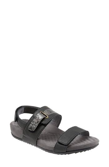 Women's Softwalk Bimmer Sandal N - Black