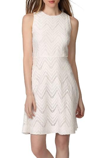 Women's Donna Morgan Chevron Lace Fit & Flare Dress