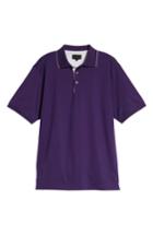 Men's Bobby Jones Solid Tipped Polo, Size - Purple