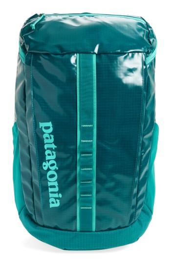 Men's Patagonia Black Hole 25 Liter Backpack - Blue