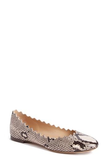 Women's Chloe Lauren Ballerina Flat Us / 34eu - Grey