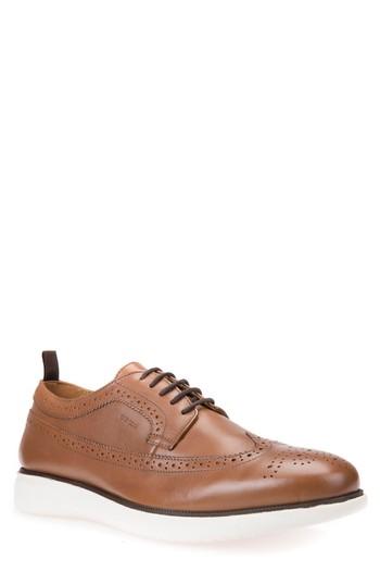 Men's Geox Winfred 3 Wingtip Us / 44eu - Brown