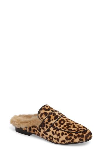 Women's Steve Madden Kaden Mule M - Black