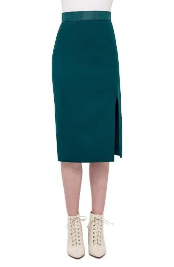Women's Akris Horsehair Trim Double Face Wool Blend Skirt - Blue