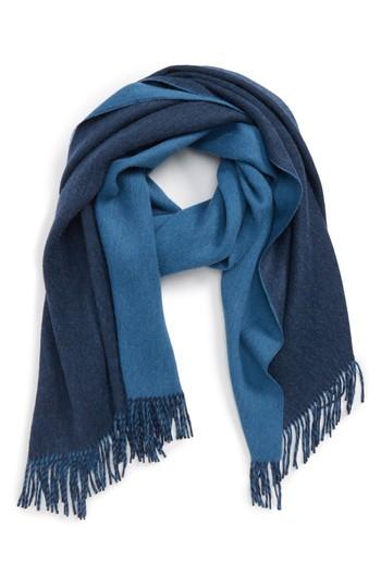 Women's Max Mara Cecina Double Face Scarf, Size - Blue