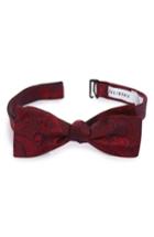 Men's Calibrate Floating Paisley Silk Bow Tie, Size - Red