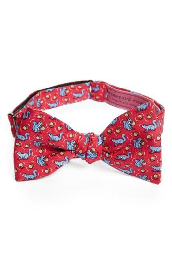 Men's Vineyard Vines Squirrel Silk Bow Tie, Size - Pink