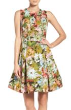 Women's Taylor Dresses Vintage Floral Fit & Flare Dress