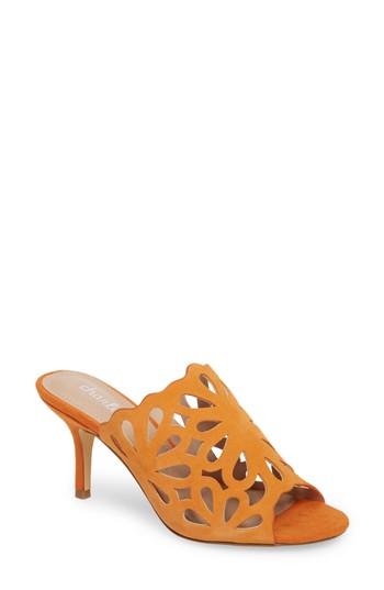 Women's Charles By Charles David Nicki Perforated Open Toe Mule M - Orange