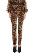 Women's Dolce & Gabbana Leopard Print Cady Leggings Us / 38 It - Brown