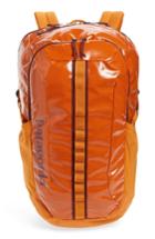 Men's Patagonia Black Hole 30-liter Backpack - Orange