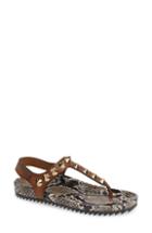 Women's Pedro Garcia Athena Spike Thong Sandal Us / 37eu - Brown