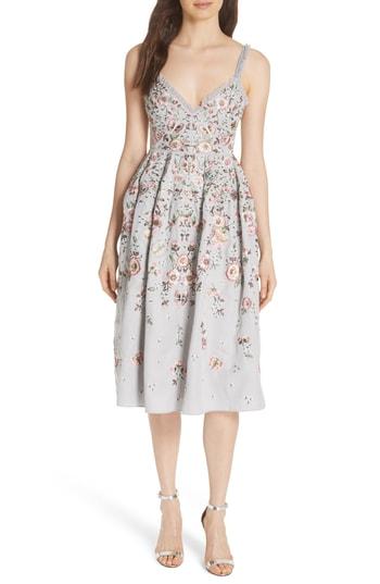 Women's Needle & Thread Butterfly Rose Fit & Flare Dress - Blue