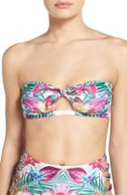 Women's Isabella Rose Hot Tropics Bandeau Bikini Top