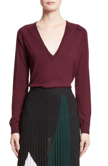Women's Proenza Schouler Plunging V-neck Merino Wool Sweater