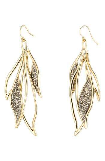 Women's Alexis Bittar Feather Wire Earrings